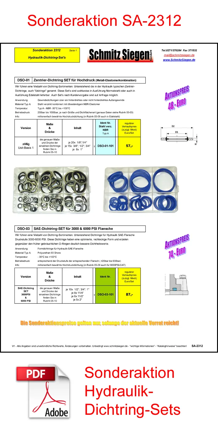 Titelblatt Katalog Hydraulik Dichtring-Sets